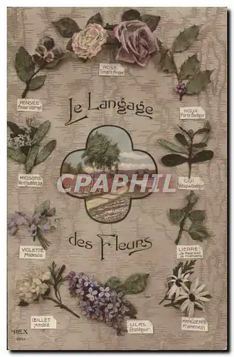 Cartes postales Fantaisie Le langage des fleurs