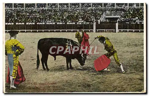 Cartes postales Corrida Course de Taureaux