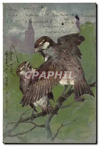 Cartes postales Fantaisie Oiseaux