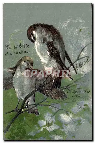 Ansichtskarte AK Fantaisie Oiseaux