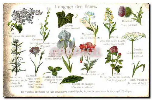 Cartes postales Fantaisie Le langage des fleurs
