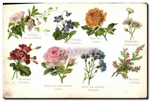 Cartes postales Fantaisie Le langage des fleurs