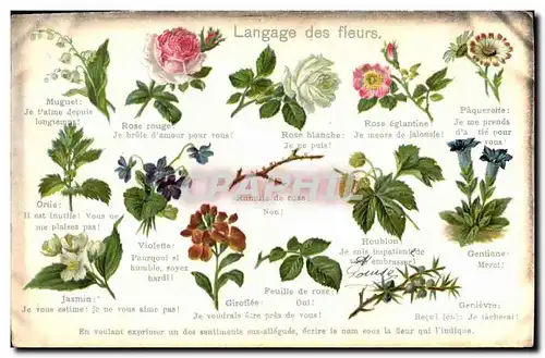 Cartes postales Fantaisie Le langage des fleurs