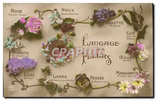 Cartes postales Fantaisie Le langage des fleurs