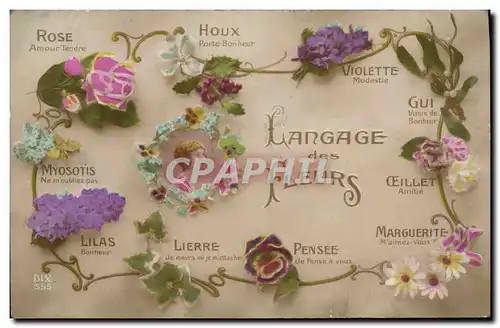 Ansichtskarte AK Fantaisie Le langage des fleurs