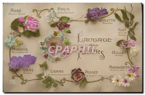 Cartes postales Fantaisie Le langage des fleurs