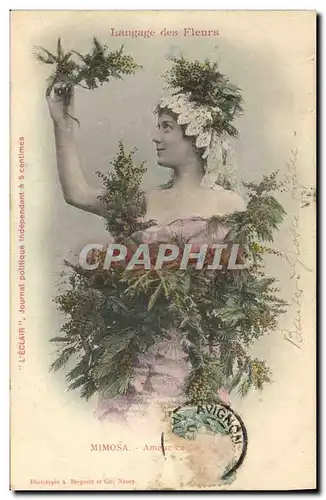 Cartes postales Fantaisie Le langage des fleurs Mimosa