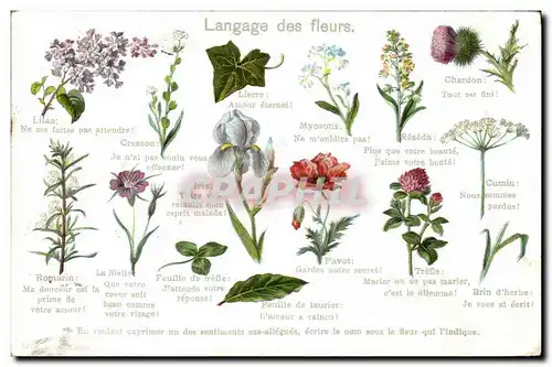 Ansichtskarte AK Fantaisie Le langage des fleurs