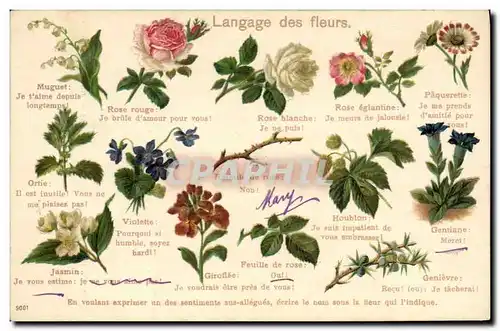 Cartes postales Fantaisie Le langage des fleurs