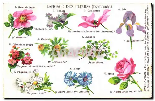 Cartes postales Fantaisie Le langage des fleurs