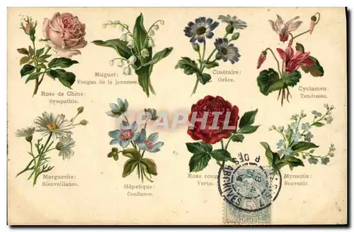 Cartes postales Fantaisie Le langage des fleurs