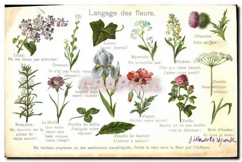 Cartes postales Fantaisie Le langage des fleur