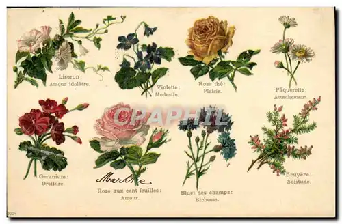 Cartes postales Fantaisie Le langage des Fleurs