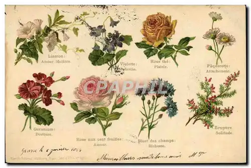 Cartes postales Fantaisie Le langage des Fleurs