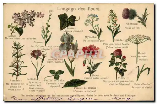 Cartes postales Fantaisie Le langage des Fleurs