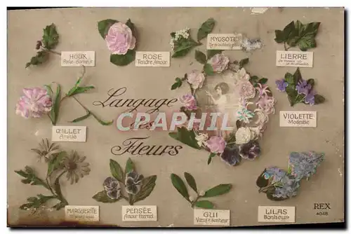 Cartes postales Fantaisie Le langage des Fleurs