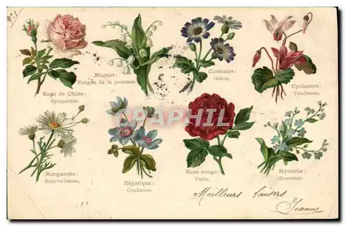 Cartes postales Fantaisie Le langage des Fleurs