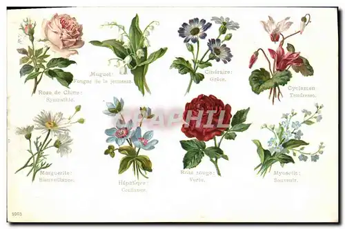 Cartes postales Fantaisie Le langage des Fleurs