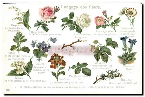 Cartes postales Fantaisie Le langage des Fleurs