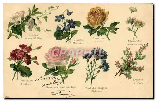 Cartes postales Fantaisie Le langage des Fleurs