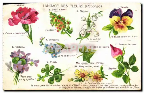 Cartes postales Fantaisie Le langage des Fleurs
