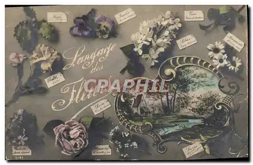 Cartes postales Fantaisie Le langage des Fleurs