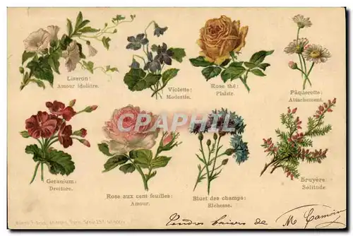 Cartes postales Fantaisie Le langage des Fleurs