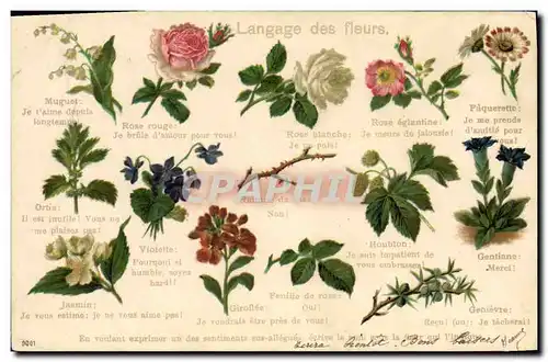 Cartes postales Fantaisie Le langage des Fleurs