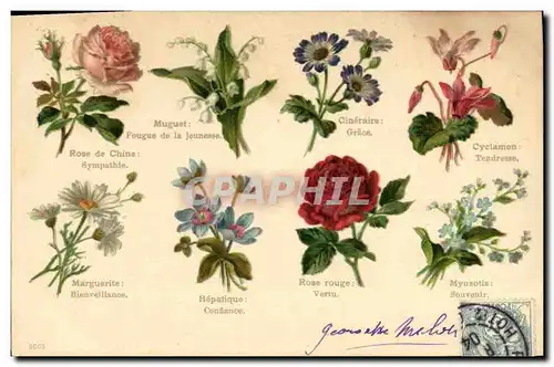 Cartes postales Fantaisie Le langage des Fleurs