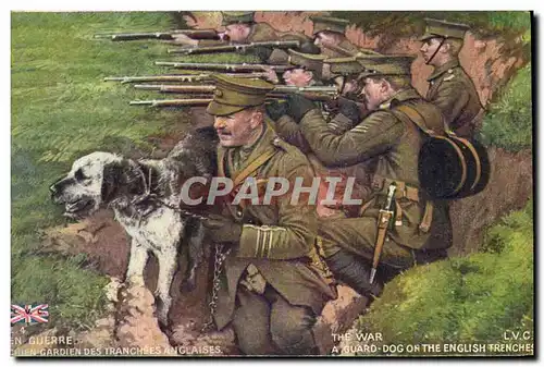 Cartes postales Militaria A guard Dog on the English Trenches