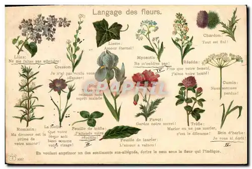 Ansichtskarte AK Fantaisie Langage des Fleurs