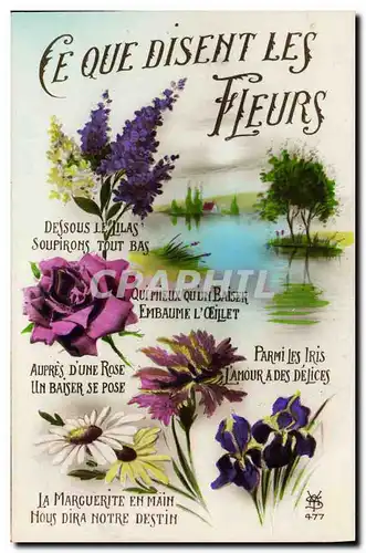 Cartes postales Fantaisie Ce que disent les Fleurs