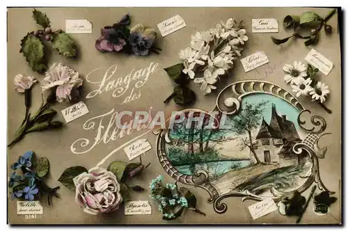 Cartes postales Fantaisie Langage des Fleurs