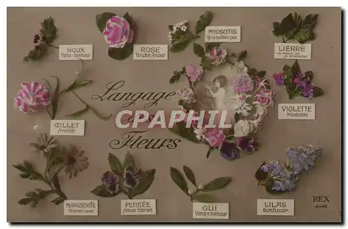 Cartes postales Fantaisie Langage des Fleurs