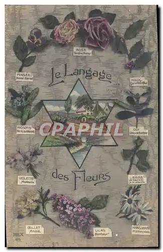 Cartes postales Fantaisie Le langage des Fleurs Rose Pensee Myosotis Violette Oeillet Houx Gui Lierre Marguerite