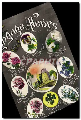 Cartes postales Fantaisie Le langage des Fleurs