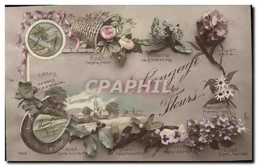 Cartes postales Fantaisie Le langage des Fleurs