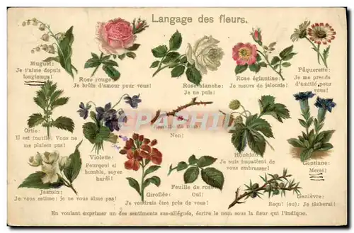 Ansichtskarte AK Fantaisie Le langage des Fleurs