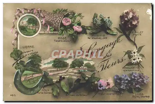 Cartes postales Fantaisie Le langage des Fleurs