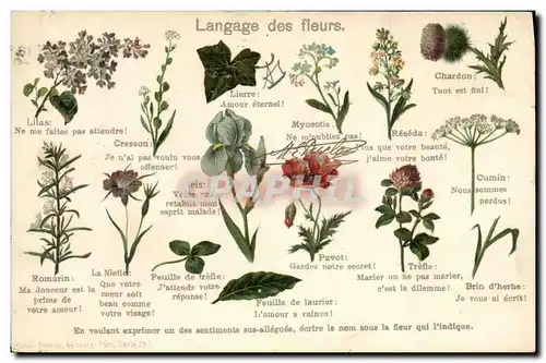 Ansichtskarte AK Fantaisie Le langage des Fleurs
