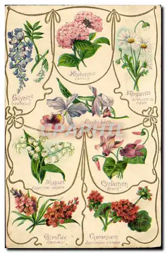 Cartes postales Fantaisie Fleurs