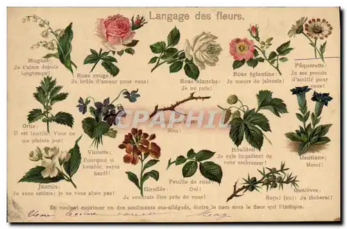 Ansichtskarte AK Fantaisie Le langage des Fleurs