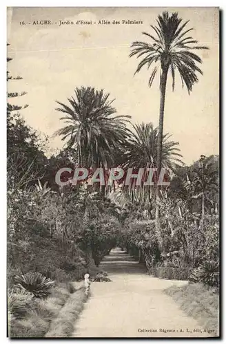 Ansichtskarte AK Alger Jardins d&#39essai Allee des Palmiers