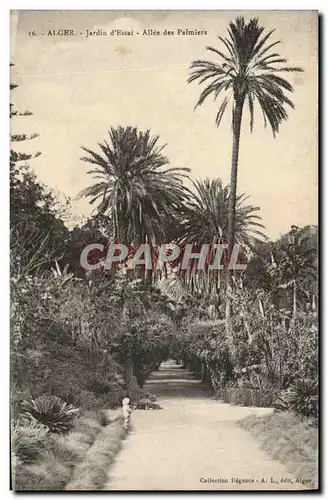 Cartes postales Alger Jardins d&#39essai Allee des Palmiers