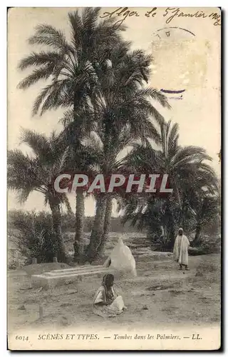 Cartes postales Tombes dans les Palmiers