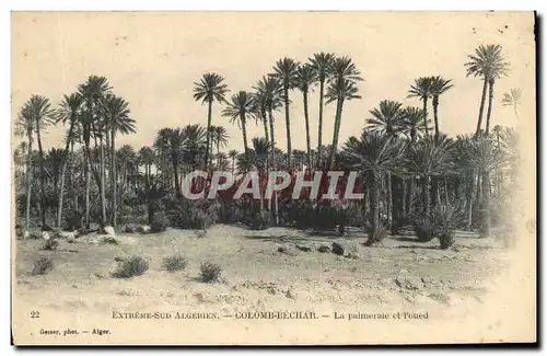 Cartes postales Palmiers Extreme Sud Algerien Colomb Bechar La palmeraie et Foued