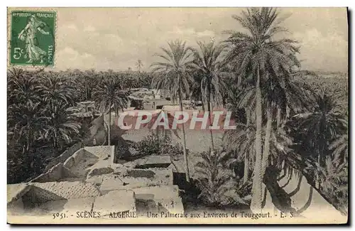 Cartes postales Palmiers Algerie Une palmeraie aux environs de Touggourt