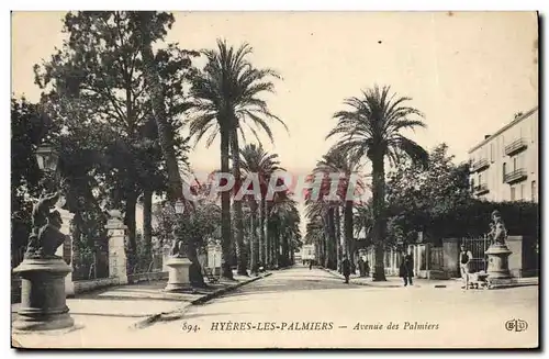 Cartes postales Avenue des Palmiers Hyeres les Palmiers