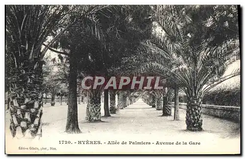Cartes postales Palmiers Hyeres Allee de palmiers Avenue de la gare