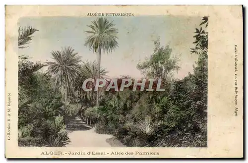 Ansichtskarte AK Palmiers Alger Jardin d&#39essai Allee des palmiers